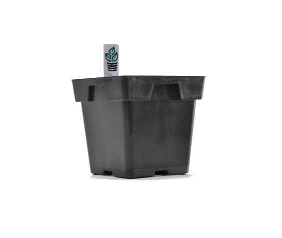 Jumbo Square Tag Lock Black - 200 per case - Square Pots